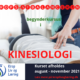 Kropsafbalancering - begynderkurset i kinesiologi afholdes august til november 2021